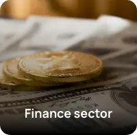 Fintech sector